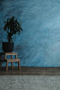 LES REVÊTEMENTS MURAUX INNOVANTS